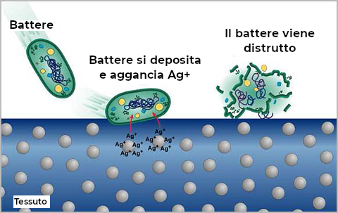 batteri sui tessuti