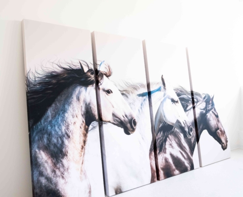 lvb_quartetto_con_stampa_a_parete_001