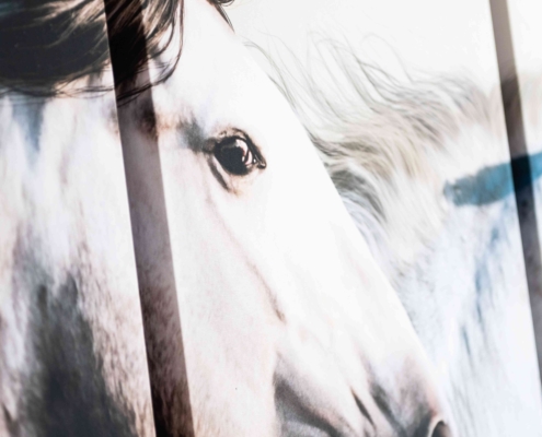 lvb_quartetto_con_stampa_a_parete_002